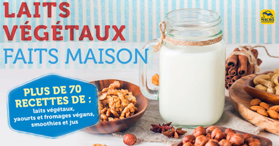 LIVRE - Laits végétaux faits maison